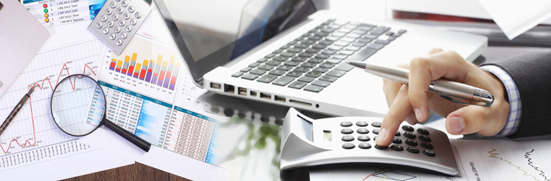 <h2>Financial Planning</h2>